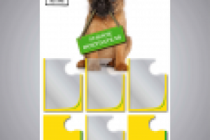 Уголок потребителя. Магазин для собак "Dogs Active"