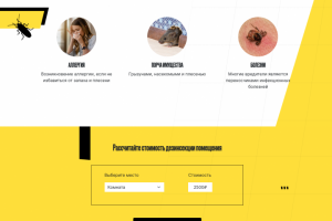 Разработка интернет магазина для Дезинсекторов