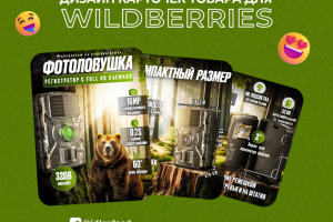 Инфографика