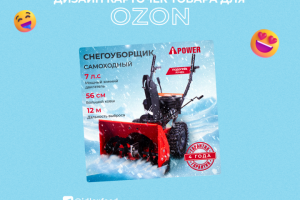 Инфографика для Ozon