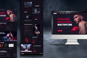 Онлайн курс по направлению "Бокс"