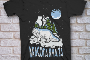 Принт из серии YAMAL