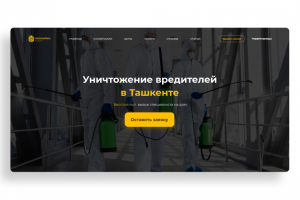 Сайт для "Dezcontrol"