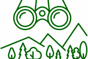 Векторная иконка «Смотровая площадка»