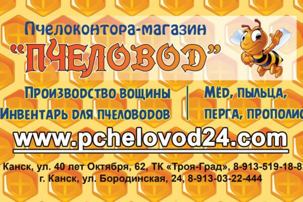 img3862761.png