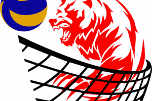 Волейбол (тай)