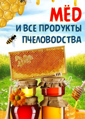 img3862724.png