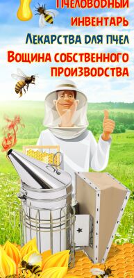 img3862723.png
