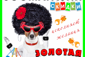 Золотая рыбка