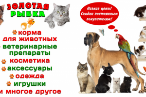 Золотая рыбка