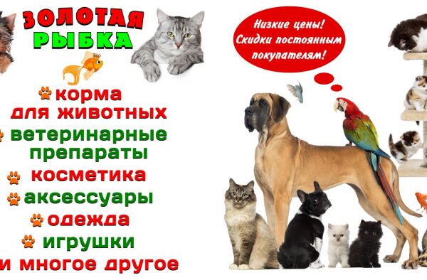 img3862697.png