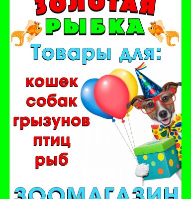 img3862696.png