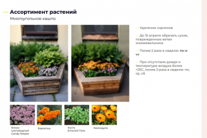 Озеленение арт-пространства