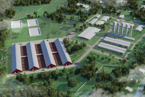 Визуализация фермы