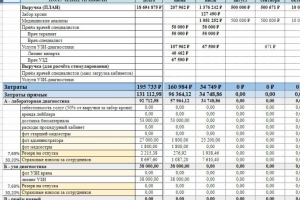 Сводный финансовый отчёт