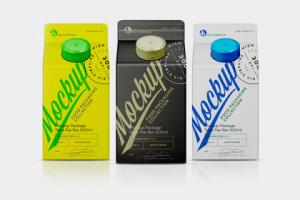 Мокап Авиатранспорт