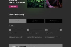 Дизайн сайта