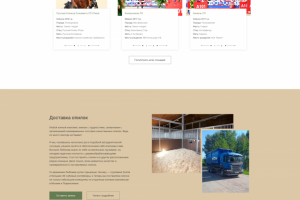 Дизайн сайта "Конный дом"