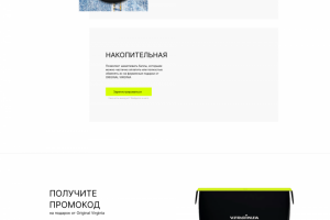 Дизайн сайта "Virginia"