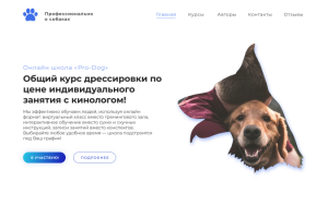 Дизайн сайта для дрессировки собак