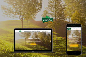 Сайт FARINA GROUP