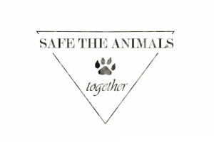 Работа 3816521