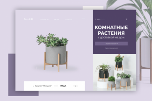 Комнатные растения с доставкой на дом