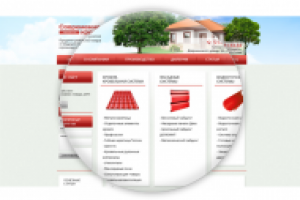 Дизайн главной страницы сайта для Современная кровля