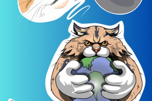 Стикеры Gaticat для Telegram