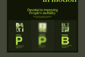 Сайт по продаже бионических протезов