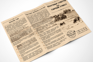 Листовка Сыры Братьев Васильевых