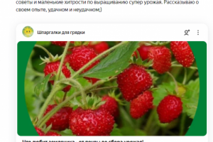 Мои статьи для Яндекс-Дзен.