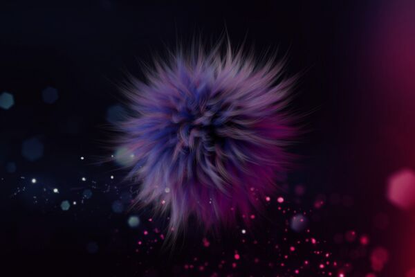 img4043833.png
