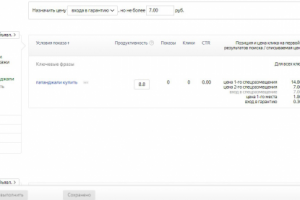 Настройка Директа для интернет-магазина индийских товаров