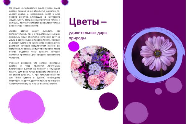 img4268742.png