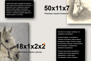 Школа верховой езды