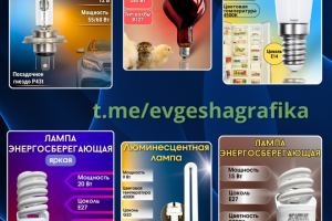 Инфографика для WB