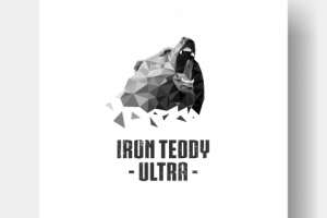 Iron Teddy