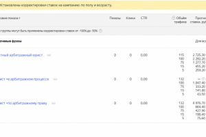 Настройка и ведение Яндекс Директ (гражданский адвокат)