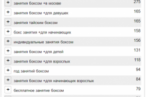 Настройка и ведение Яндекс Директ (Фитнес клуб)