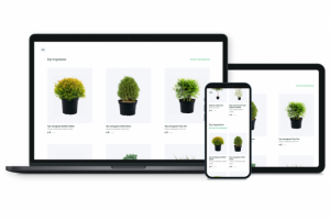 Интернет-магазин растений