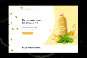 Landing natural juices "СокБро"