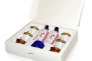 Работа 2791654