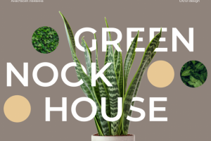 Дизайн интернет-магазина комнатных растений