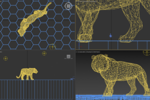 Красота в разрезе)