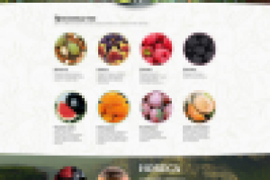 Верстка сайта peregudof.ru в конструкторе