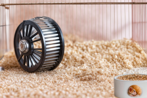 Клетка Хомяка