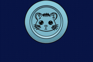 Экран загрузки