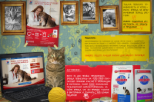 Визуализация для слайда с отчетом по акции