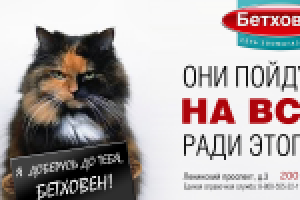 Слайд из презентации клиента